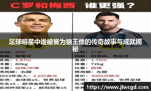 足球明星中谁被誉为狼王他的传奇故事与成就揭秘